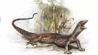 167-million-year-old fossil of Breugnathair elgolensis reveals how snakes first evolved from lizards | 167-million-year-old fossil of Breugnathair elgolensis reveals how snakes first evolved from lizards |