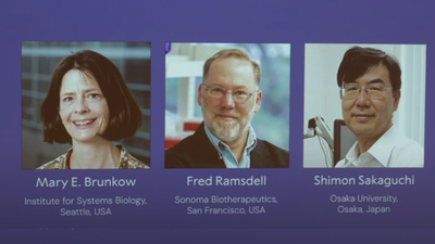 Nobel Prize 2025: Three scientists share Physiology or Medicine award; honored for discoveries on peripheral immune tolerance Nobel Prize 2025: Three scientists share Physiology or Medicine award; honored for discoveries on peripheral immune tolerance