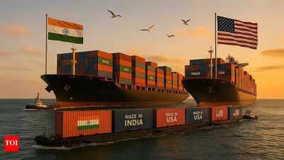 Trade talks with US: Delhi working to find ‘win-win solution’; 45% of Indian exports remain tariff-free