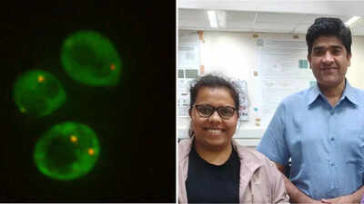 Can yeast survive on Mars? IISc, Isro scientists find promising clues