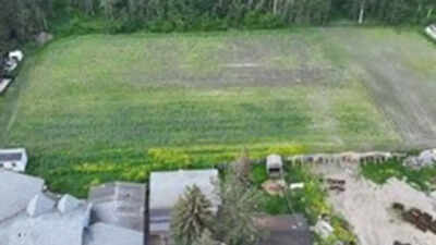 60,000 poppy plants grown behind residence: 4 Indian-origin men charged in Canada