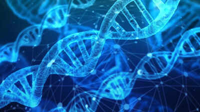 “Google for DNA”: Scientists create the world’s first and fastest genetic search engine |
