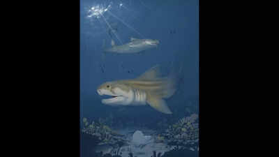 Mammoth cave mystery: Two new sea monsters resurface after 325 million years in the world’s largest cave | Mammoth cave mystery: Two new sea monsters resurface after 325 million years in the world’s largest cave |