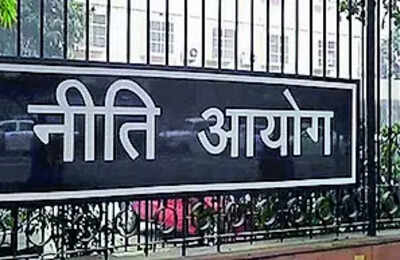 Services sector employed 188m in ’23-24: Niti Aayog