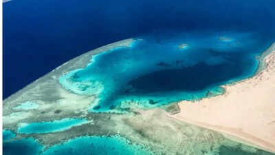 The Red Sea vanished from Earth for 100,000 years: What brought it back will astonish you | The Red Sea vanished from Earth for 100,000 years: What brought it back will astonish you |