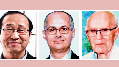 Trio win Nobel chemistry prize for work on ‘Hermione’s handbag’ materials Trio win Nobel chemistry prize for work on ‘Hermione’s handbag’ materials
