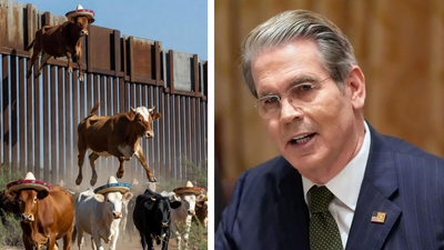 Scott Bessent grilled after giving wild reason for soaring beef prices in US: ‘Cows climbing over Trump’s wall’