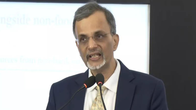 Economic growth may exceed 7%, GDP to cross  trillion mark in FY26: CEA V Anantha Nageswaran
