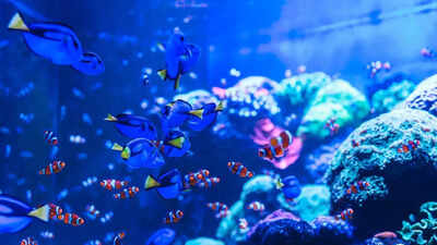 30,000 fossils uncovered in the Arctic show how oceans came back to life after the ‘Great Dying’ |