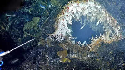 Axial Seamount may erupt by 2026: Uncovering the hidden dangers of Oregon’s most active underwater volcano |