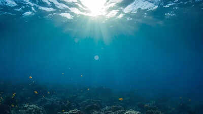 Mysterious structures under the Pacific: What scientists found beneath the ocean floor could reshape Earth’s history |