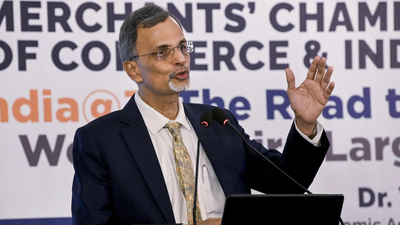 Economy likely to top  trillion mark in FY26: CEA