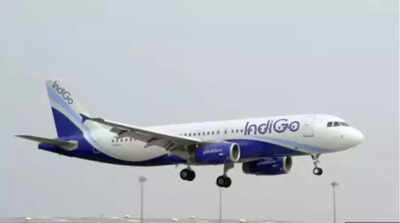 Panel questions IndiGo, DGCA babus, gets ‘unconvincing’ replies | India News