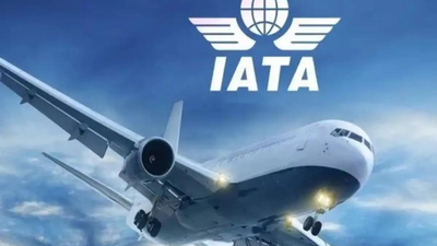 Shocking stat: Airlines to earn just .90 per passenger next year — less than what Apple makes on an iPhone cover, says IATA chief