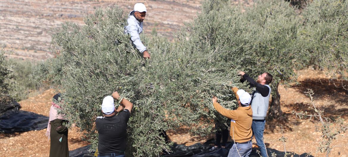 Gaza: Humanitarian response ongoing despite restrictions