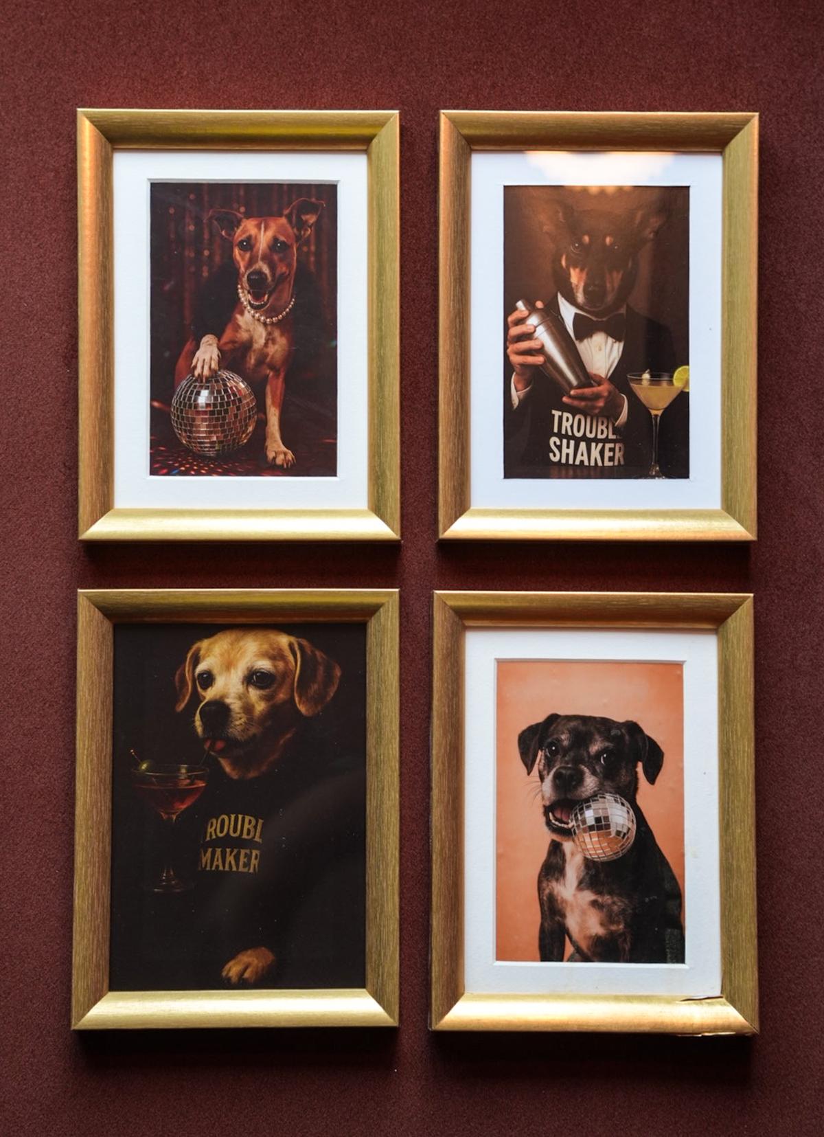 At this new restaurant in Delhi, you can have a cocktail with your pet