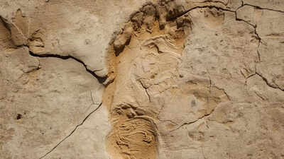 A 15,600-year-old human footprint in Chile may rewrite the story of the first Americans |