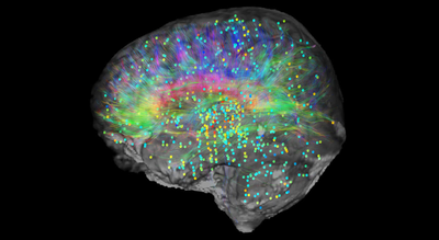 Professor’s radical theory claims consciousness doesn’t come from the brain and may continue after death |