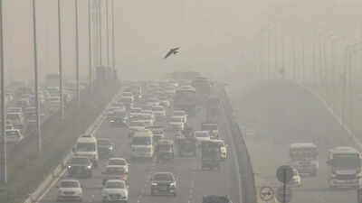 Delhi air pollution: Curbs on vehicles under GRAP-IV; all you need to know | Delhi News