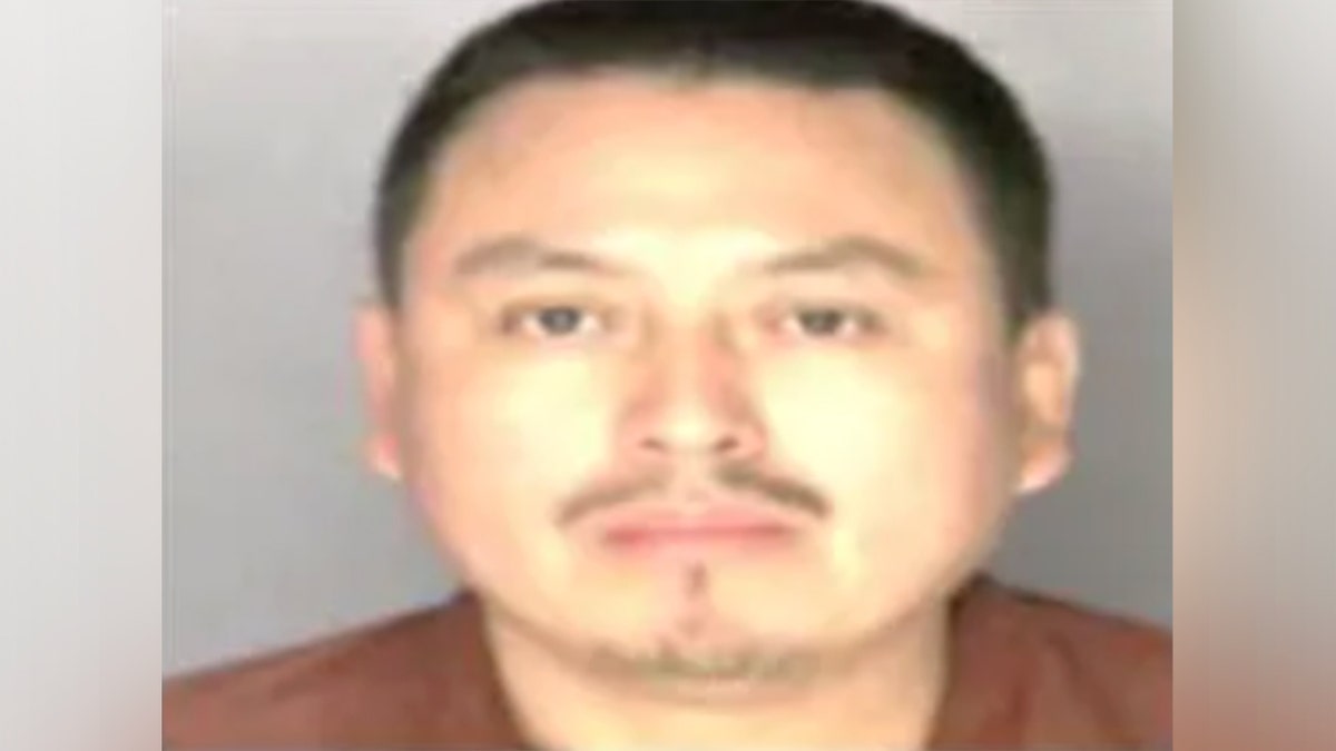 Tricia McLaughlin announces ICE Christmas arrests of criminal illegal immigrants