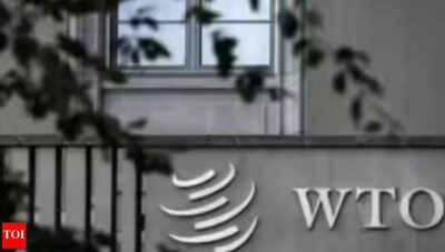 WTO can’t be forum to solve trading problems: US