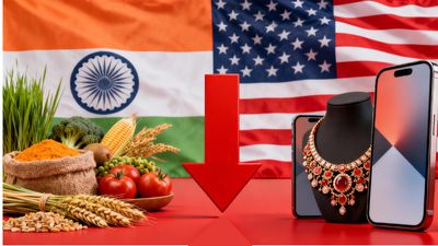Trump tariff impact: India’s exports to US down 28.5% in 5 months; key sectors battered