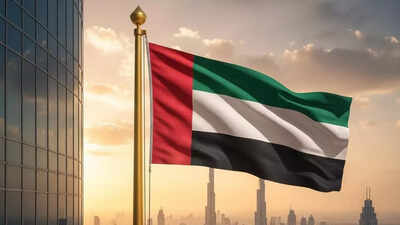 UAE fines 1,300 firms with AED 34 million for fake job scam | World News