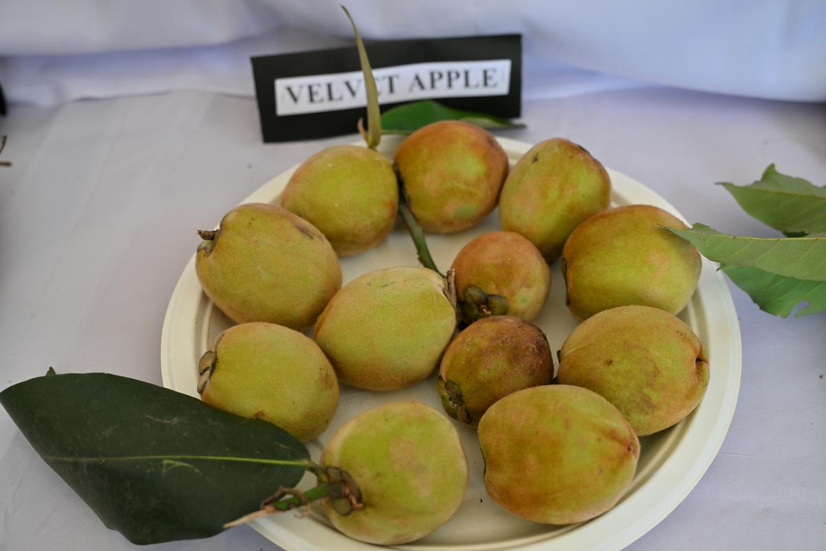 The trials and tribulations of apples and other imported fruits in the Nilgiris