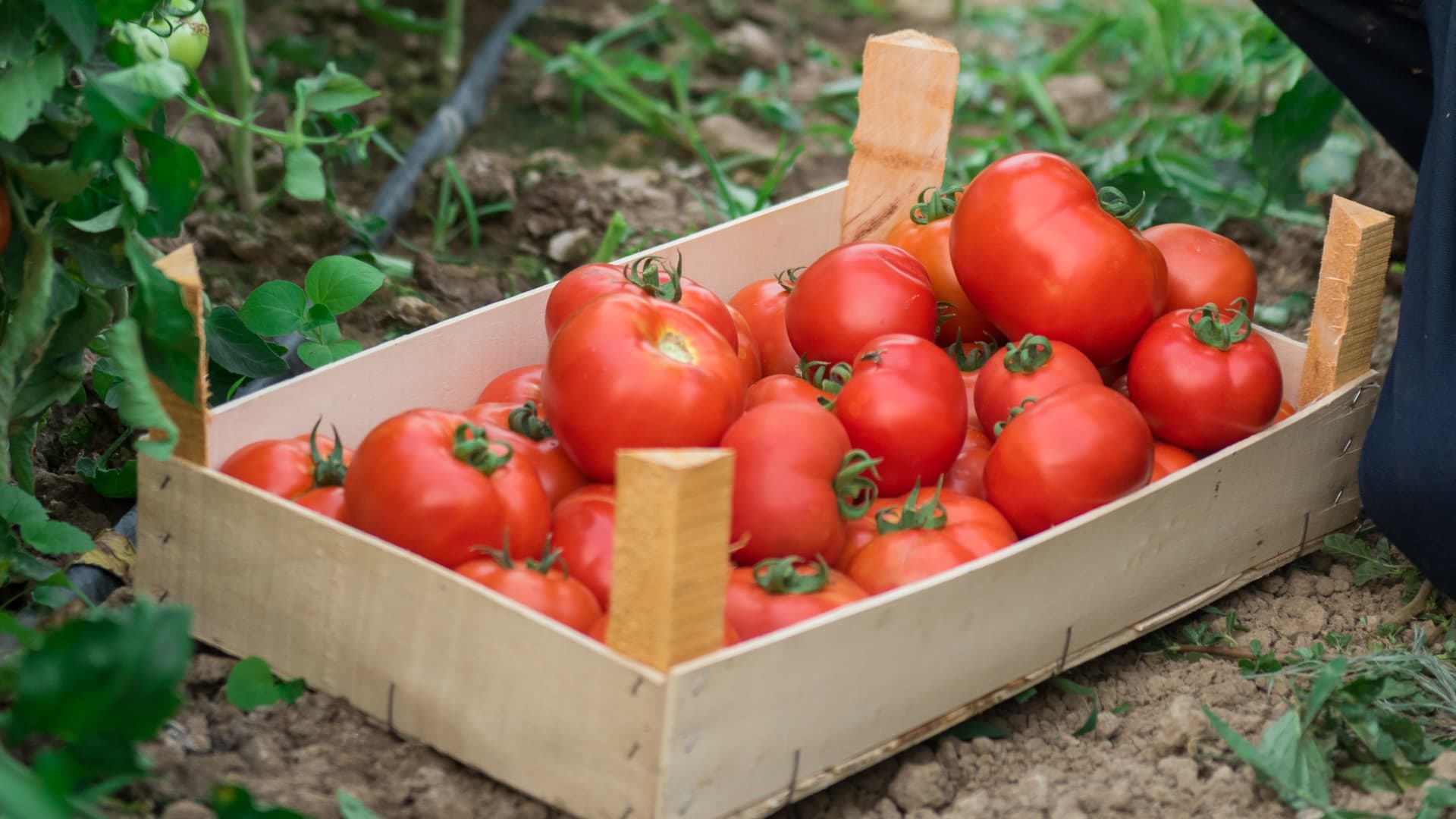 Luxury exec left Hermes for farm. It’s nearing  million business