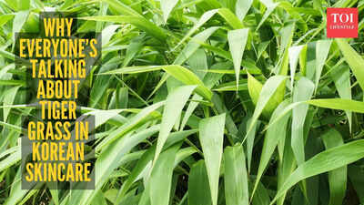 Tiger grass is the Korean beauty ingredient of the year, here’s how you can actually use it