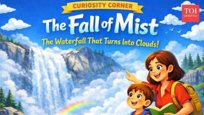 Curiosity Corner: Where is the waterfall that makes its own mist located? |