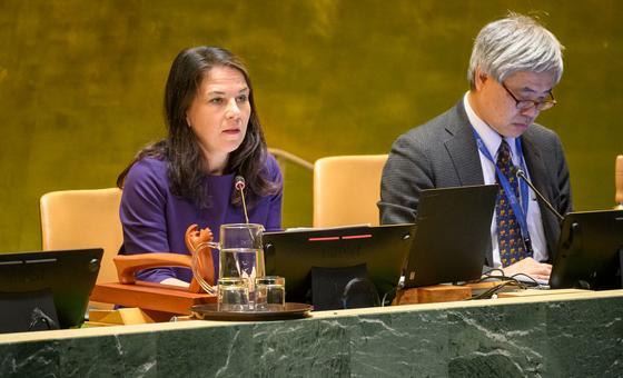 Security Council’s veto power is ‘poster child’ of global gridlock, says Baerbock