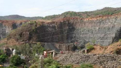 Govt notifies rules for use of Environmental (Protection) Fund | India News