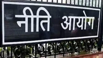 Eyeing net zero future, Niti Aayog releases roadmaps for decarbonisation of aluminium, cement, MSME sectors | India News