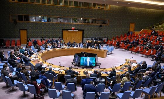 Haiti crisis at breaking point as gangs tighten grip ahead of transition deadline