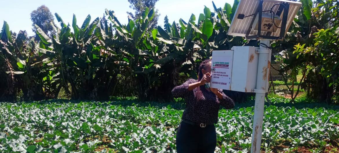 From family farm to climate tech: How one Kenyan woman is helping farmers outsmart drought