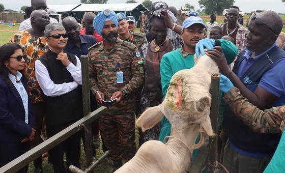 South Sudan: UN and rights experts warn against risk of mass violence in Jonglei
