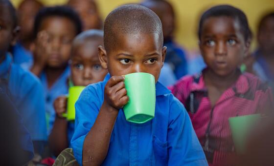 From lunch tray to lifelong health: WHO sets global standards for school meals