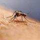 Malaria: is Asia-Pacific on target towards elimination by 2030?