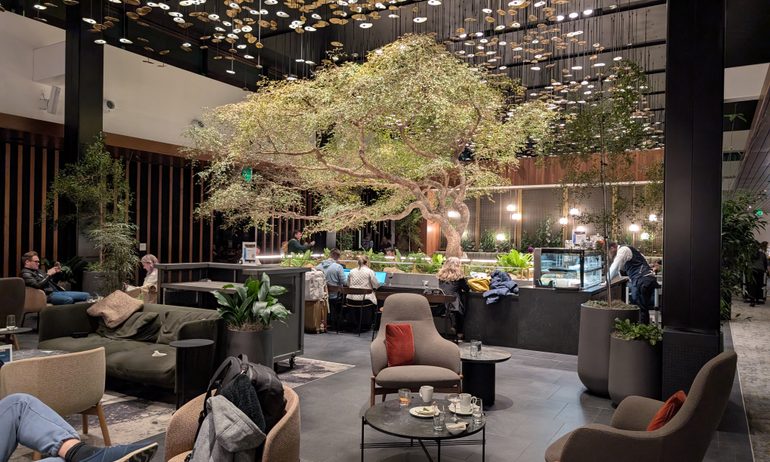 Centurion Lounge Atlanta: A Plant-Filled Escape
