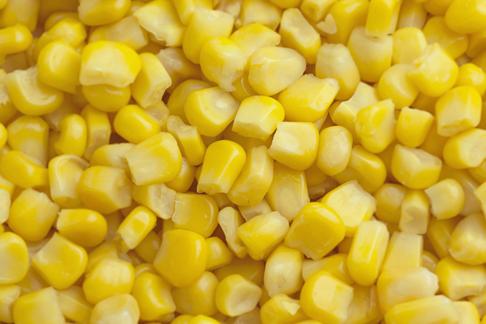 Corn Sees Slight Losses on Friday