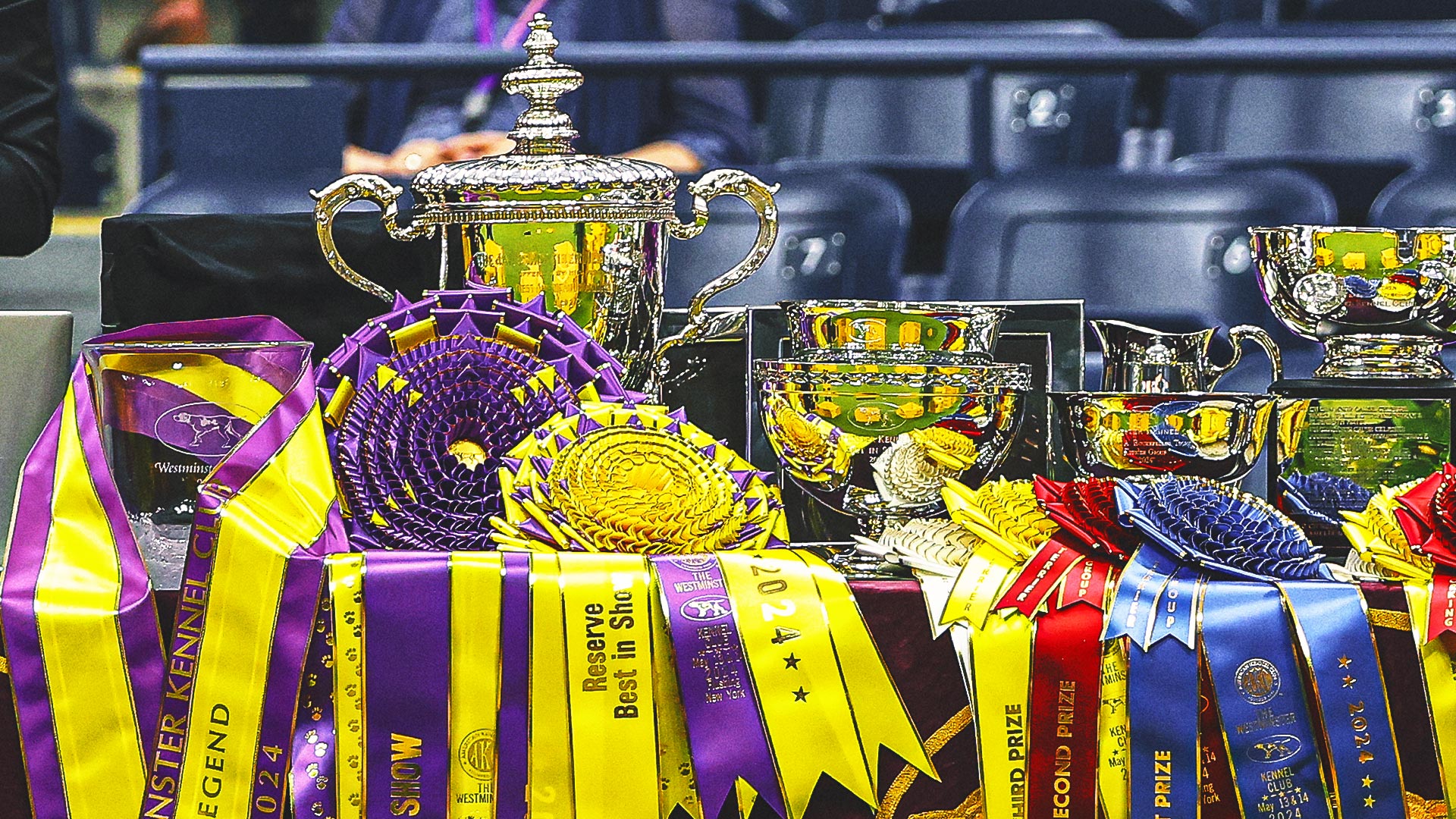 What makes a dog a winner? A Westminster Kennel Club judge explains