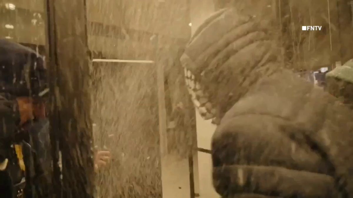 Multiple arrests made as agitators clash with Border Patrol agents at Minneapolis hotel