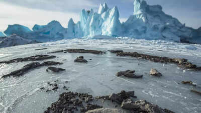 Baby dinosaur fossils found in Arctic permafrost reveal how dinosaurs survived polar winters |