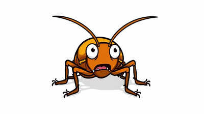 Cockroaches become more cautious and change their behaviour after stress, scientists discover |
