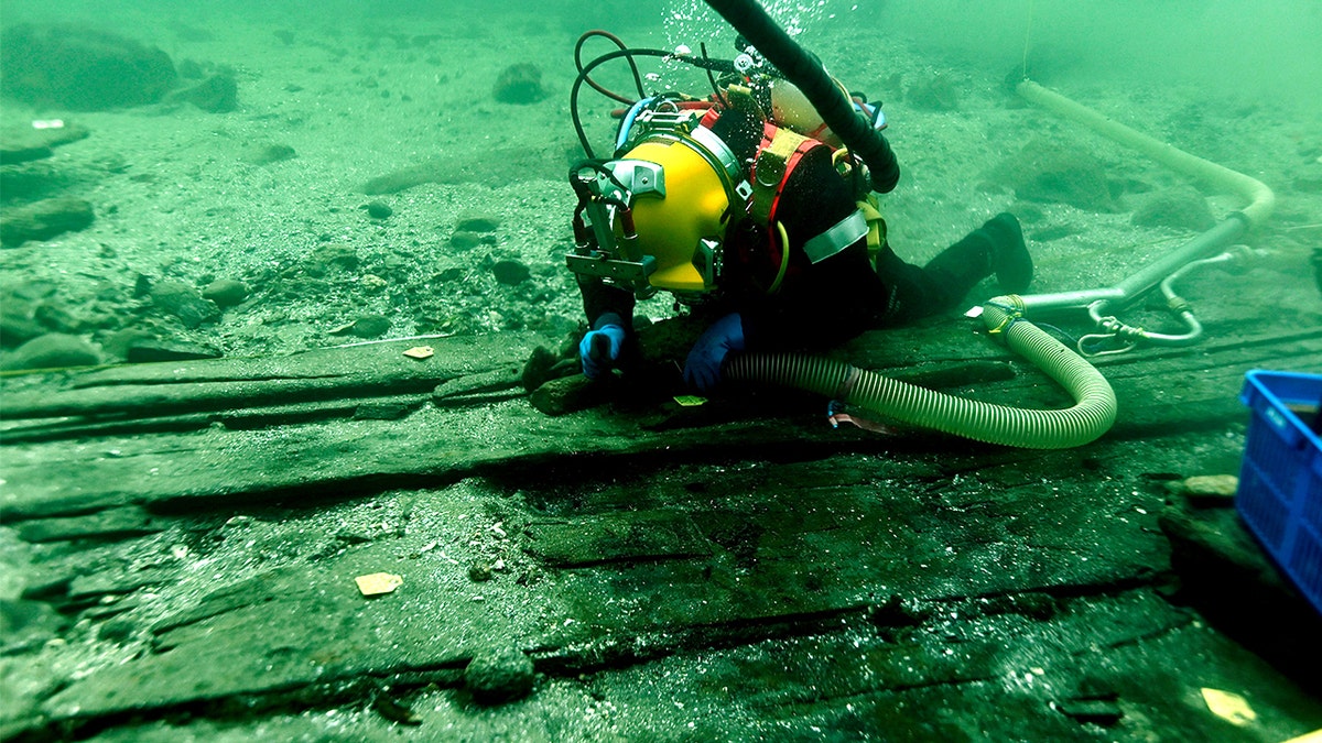 Archaeologists stunned as world’s largest cog ship discovered off Denmark coast