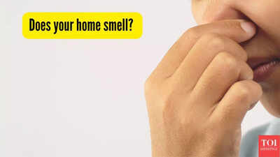 Does your home smell? How to find out and fix this problem permanently |