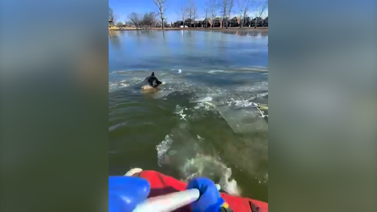 Dog rescued from icy lake by Missouri fire department crew members