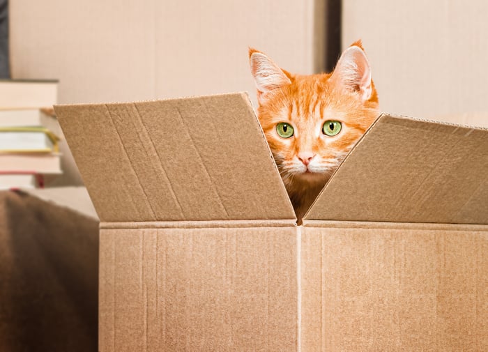 Chewy Stock: Is the Pet E-Commerce Leader Built for the Long Run?​
