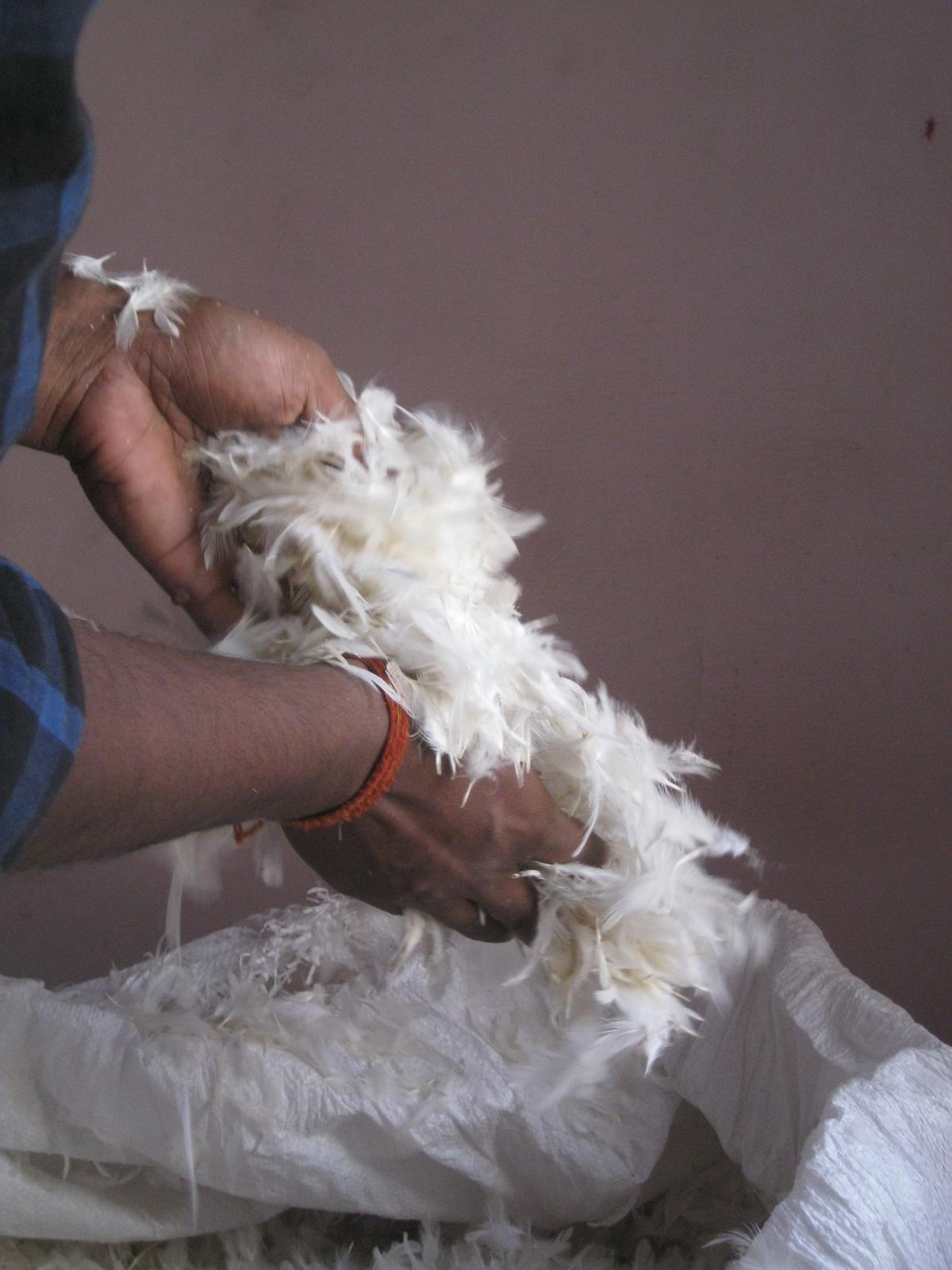 Golden Feathers turns butchery waste into shawls, unisex stoles,